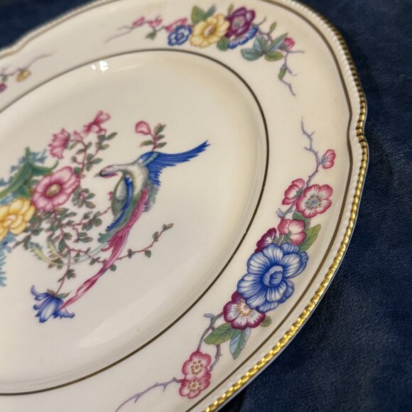 Castleton China six 6 DINNER Plates Phoenix USA Gold Flowers Scalloped Edge Rim - Picture 5 of 16